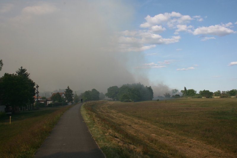 Rauchschwaden eines brennenden Teilstckes der Neissewiese am 14.05.09