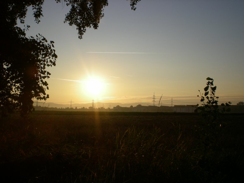 So schn kann Mannheim sein. Sonnenaufgang ber dem Bsfeld; rechts im Bild ist der Stadtteil Hochsttt zu erkennen. Aufgenommen am 02.09.2008 um 07:21 Uhr. 