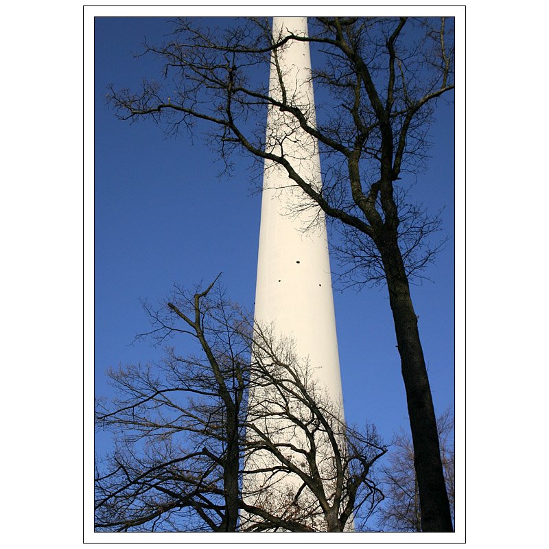 Stuttgarts Fernsehturm umgeben von Bumen. 11.02.2008 (Matthias)