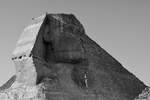 Der Kopf der Groen Sphinx vor der Pyramide des Cheops.