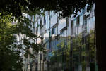 Moderne Architektur in Basel -    Die Glasfassade des Forum 3 im Novartis Campus von Diener & Diener.
