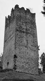 Reste des Bergfrieds der Burgruine Rosegg.