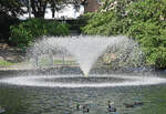 Springbrunnen und Enten im Schillerparkteich Euskirchen - 10.10.2023