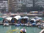 Hong Kong : Idyll der anderen Art im Yachthafen von Hong Kong.