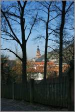 Der Weg zur Burg bietet einen Blick zwischen den Bumen auf die Altstadt von Heidelberg.(28.03.2012)