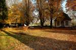 Schlopark - Der erste Samstag im November und noch leuchten die bunten Herbstfarben um die Wette.