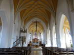Marklkofen, Innenraum der Pfarrkirche Maria Himmelfahrt (21.11.2016)