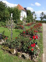Rosenfriedhof in Dietkirchen, ein Friedhof, der bei neuen Grbern seit 1933 nur handgeschmiedete Kreuze und keine Grabsteine sowie als einheitliche Bepflanzung rote Rosen aufweist (20.08.2017)