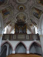 Stubenberg, Orgelempore in der Pfarrkirche St.