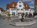 Treuchtlingen, Brunnen und Huser am Marktplatz (16.06.2013)