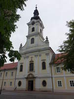 Bjelovar, Kathedrale St.