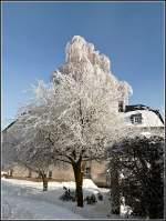 Winter in Berl.
