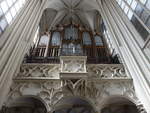 Wien, Orgelempore in der Kirche Maria am Gestade, Orgel erbaut 1911 von dem Orgelbauer Matthus Mauracher jun.
