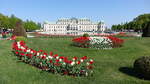 Wien, Schlo Oberes Belvedere, erbaut von 1721 bis 1723 durch Johann Lucas von Hildebrandt (21.04.2019)