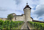 Ordentlich zu klettern hat man zur Festung Munot, dem Wahrzeichen der Stadt Schaffhausen (CH).