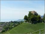 Das Schloss Chtelard (erbaut 1441) liegt inmitten der Weinberge oberhalb von Clarens (Montreux).