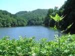 Harz Der Wiesenbeker Teich bei Bad Lauterberg im Sommer 2008