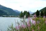 engadin--st-moritz Blick am 21.07.2009 �ber St.Moritzer See zum Segelhafen