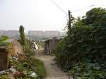 Wohnen in Peking. Im ...  Thomas Wendt 31.10.2009