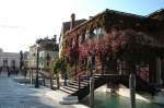 Venedig Auch das gibt es in Venedig nahe der F.d.Salute  31.10.09