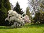 lahr-im-schwarzwald Lahr, Stadtpark zur Fr�hlingszeit,
2008