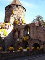 lahr-im-schwarzwald Lahr, Stadtturm mit Blumenschmuck zur 'Chrysanthema'