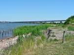 Stralsund im Sommer sieht der 'Schwemmi'; ein Teil vom D�nholm vor Stralsund wird so genannt; doch viel angenehmer aus, 02.07.08