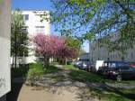 Grevesm�hlen; Fr�hling im Wohngebiet Ploggenseering 02.05.2010  ...