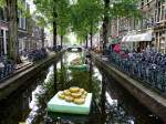 Gouda (6 Fotos)