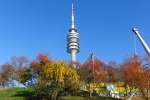 Herbstliche Impression ...  Willi Dressel 21.02.2012