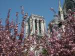 paris Notre Dame im Fr�hling