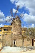 M�hle in Palma de ...  Hans-Gerd Seeliger 29.03.2013