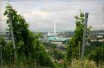 stuttgart Stadt und Landschaft sind in Stuttgart eng miteinander verwoben, so dass es machmal gar nicht leicht f�llt zu entscheiden, ob St�dte-fotos oder Landschaftsbilder hier die richtig Seite ist. Da hier der gewaltige Kraftwerksbau in Stuttgart M�nster im Bildmittelpunkt ist, habe ich die St�dte-fotos gew�hlt. Das Kraftwerk M�nster ist in der Hauptsache eigentlich eine M�llverbrennungsanlage, kann aber zus�tzlich auch als Kohlekraftwerk genutzt werden. 21.6.2007 (Matthias)