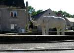 Der K�rener Elefant, 15.09.07 ...  Kai Gl��er 17.09.2007