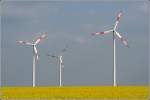 Windr�der bei Emmendorf im Landkreis Uelzen. Aufnahmedatum: 11.05.2006  ...