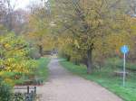 Radwege Weitere Falle im B�rgerpark Pankow (Berlin). 

Da das Ordnungsamt Pankow von Berlin hier eine gro�e Aktivit�t zeigt (mehrmals im Monat wird im Park patroulliert und zur Kasse gebeten), habe ich mich zu einer Fotodokumentation aller Fallen entschieden. Ich habe das Ordnungsamt nat�rlich auch schriftlich darauf hingewiesen.

Generell m�chte ich mit meinen Fotodokumentationen auf den teilweise grauenvollen, lebensgef�hrlichen und rechtswidrigen Zustand vieler - vielleicht sogar der meisten - Radwege hinweisen.

Hier nun also ein gemeinsamer Rad- und Fu�weg, der durch den Park f�hrt. Wir fahren von der Stra�e am B�rgerpark durch diesen Park zur Heinrich-Mann-Stra�e. 2.11.2007