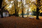 bad-sackingen Schlo�park - Die Sonne l�sst die Bl�tter der Kastanienb�ume wundersch�n leuchten. 3.11.2007