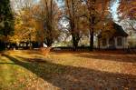 bad-sackingen Schlo�park - Der erste Samstag im November und noch leuchten die bunten Herbstfarben um die Wette. Das Teeh�uschen h�lt aber schon Winterschlaf. 3.11.2007