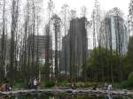 Weitere Impression des Peoples Park. April 2006  ...