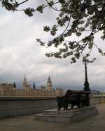 london Blick auf das Westminster und den Big Ben.
(April 2008)
