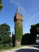 Hradec nad Moravici / Grtz, Uhrturm von Schloss Grtz (02.08.2020)