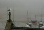 Nebelstimmung im Hafen von Tenby  (27.04.2010)