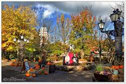 Heide-Park-Resort Soltau, geschmckt zum Thema der Zeit, Halloween Oktober 2012 