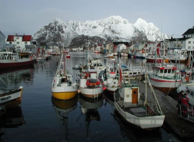 Zur Dorschsaison ist Henningsvr die inoffiziele Hauptstadt der Lofoten. Tausende norwegische Fischer Treffen wegen der zentralen Lage hier ein und starten ihre Fangfahrten von hier und verkaufen den frischen Dorsch in die Fischfabriken.