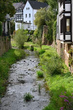 Erftlauf durch Bad Mnstereifel - 06.09.2025