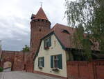 Tangermnde, Gefngnisturm, massiver Rundturm von 1480 (09.07.2025)
