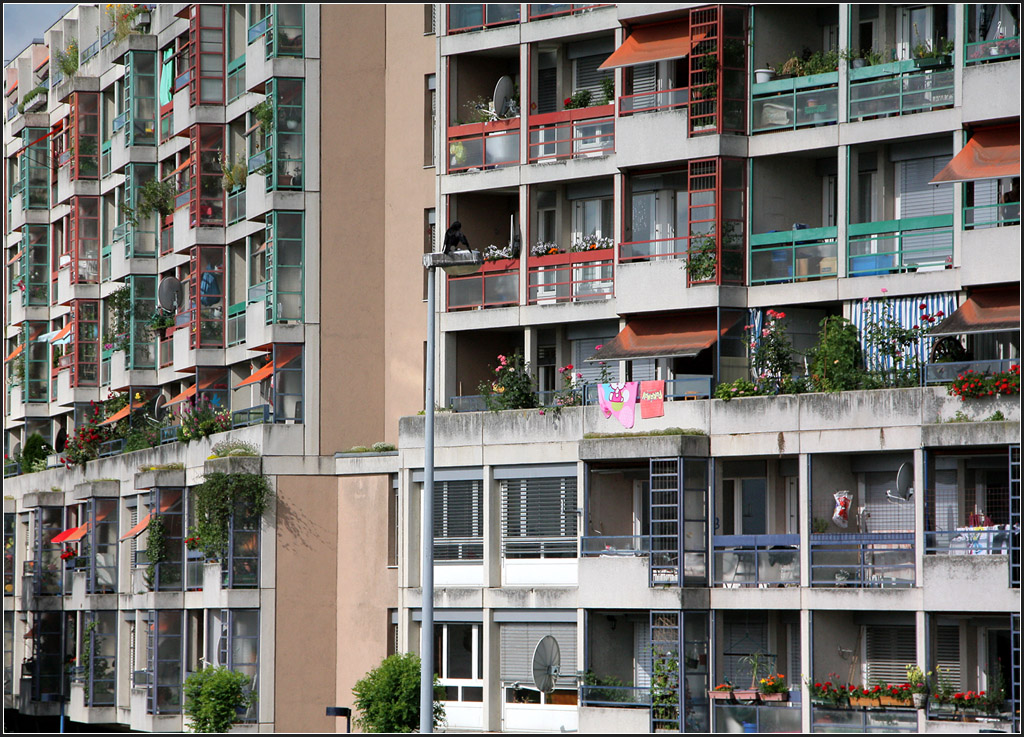 . Bewohnte Fassade - Wohnhochhaus in Basel, direkt am Rhein. 22.06.2013 (Matthias)