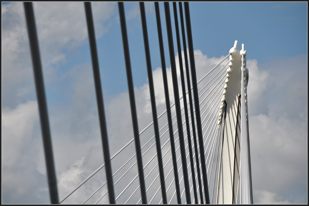 . Passerelle des deux Rives (Brcke der zwei Ufer) - Seilnetzimpression, 11.06.2011 (Jonas)