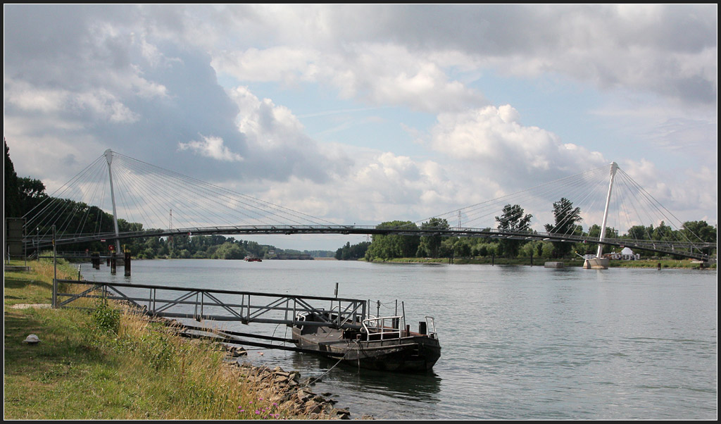 . Passerelle des deux Rives (Brcke der zwei Ufer) - Diese Fugngerbrcke ber den Rhein zwischen Kehl und Straburg entstand 2004 zur gemeinsamen Gartenschau der beiden Stdte. 11.06.2011 (Matthias)