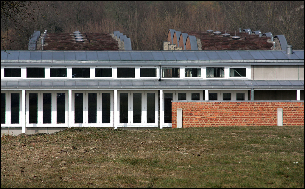 . Salem International College berlingen - Blick ber das Klassenzimmergebude auf die Dcher der Schler-Wohnhuser. 05.03.2011 (Matthias)